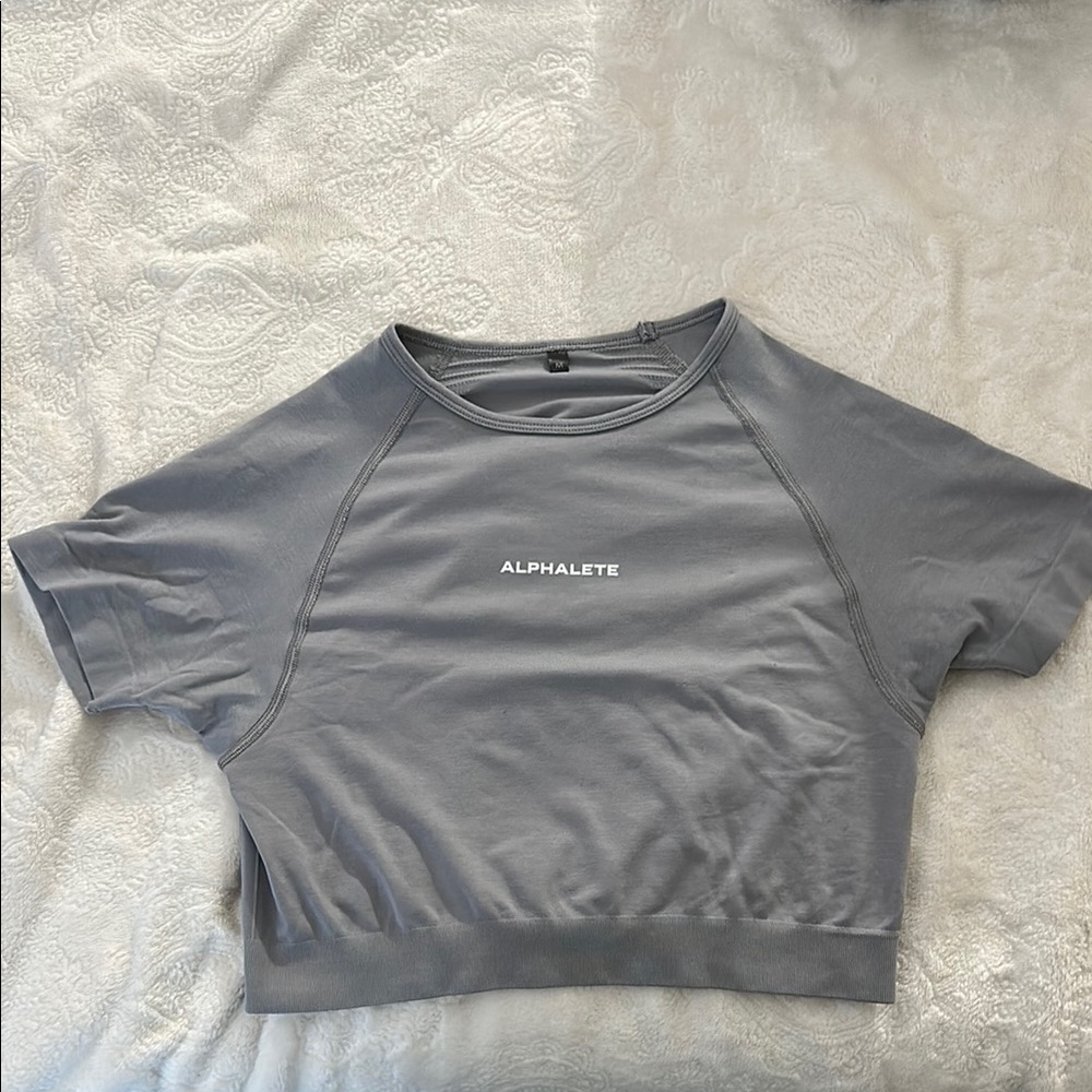 Alphalete Gray Fitted Crop T-Shirt